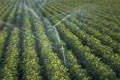irrigazione per agricoltura