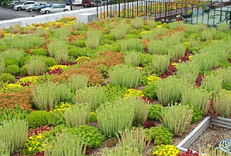 realizzazione giardini pensili