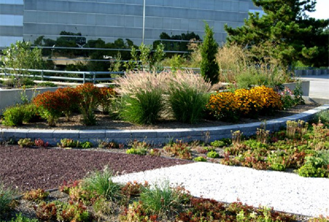 realizzazione giardini pensili